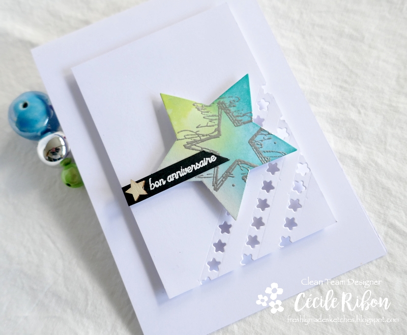 Carte FMS506 - P1260964