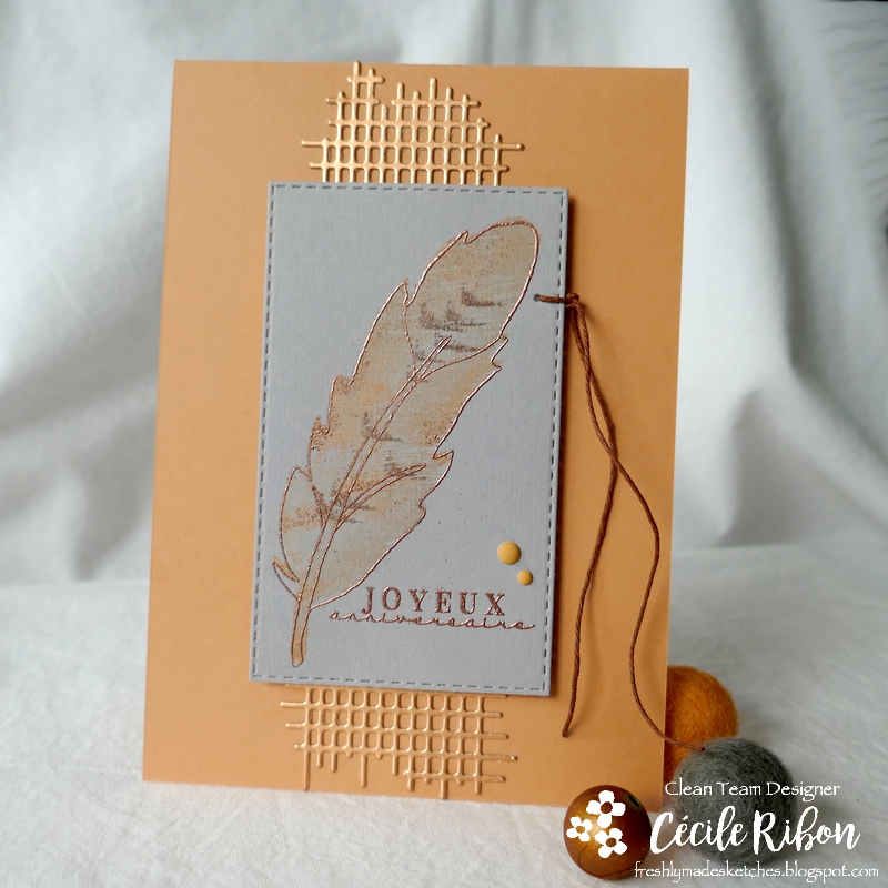 Carte FMS508 - P1270317