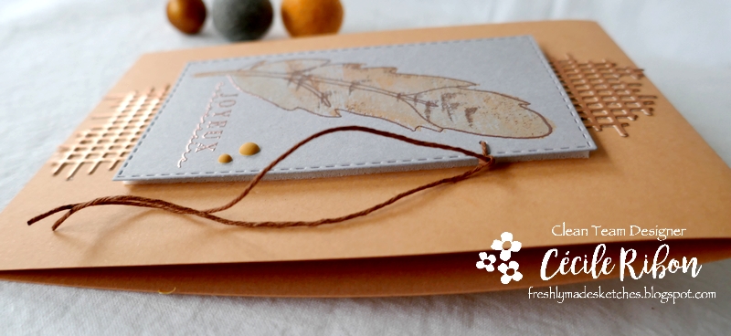 Carte FMS508 - P1270324