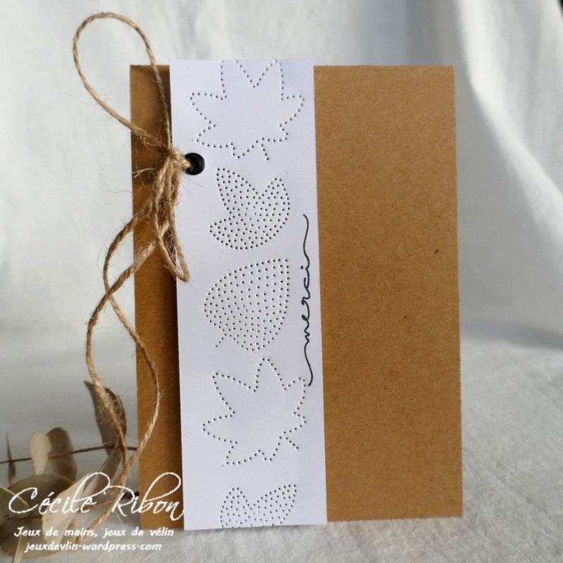 Carte JUGS608 - P1270749