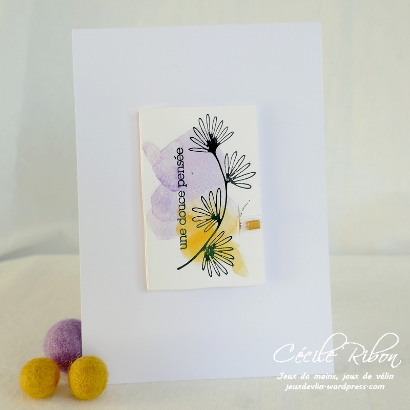 Carte LiM453 - P1270012