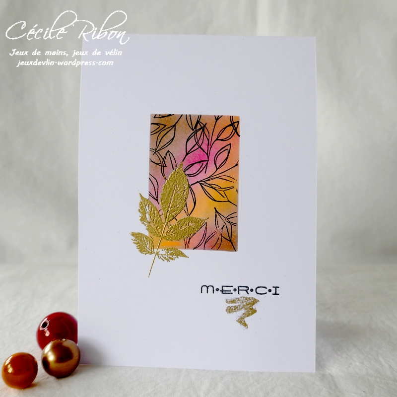 Carte LiM454 - P1270278