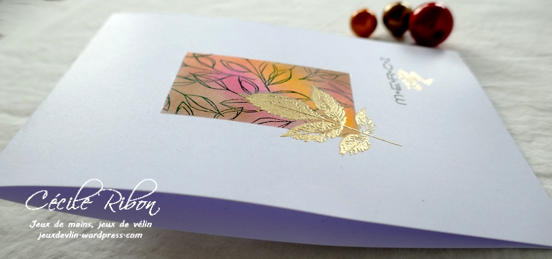 Carte LiM454 - P1270281