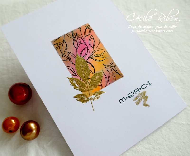 Carte LiM454 - P1270290