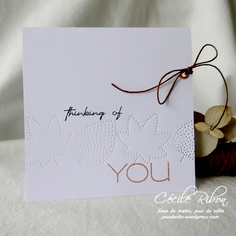 Carte LiM454 - P1270345