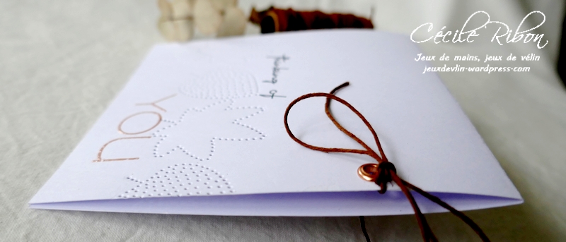 Carte LiM454 - P1270351