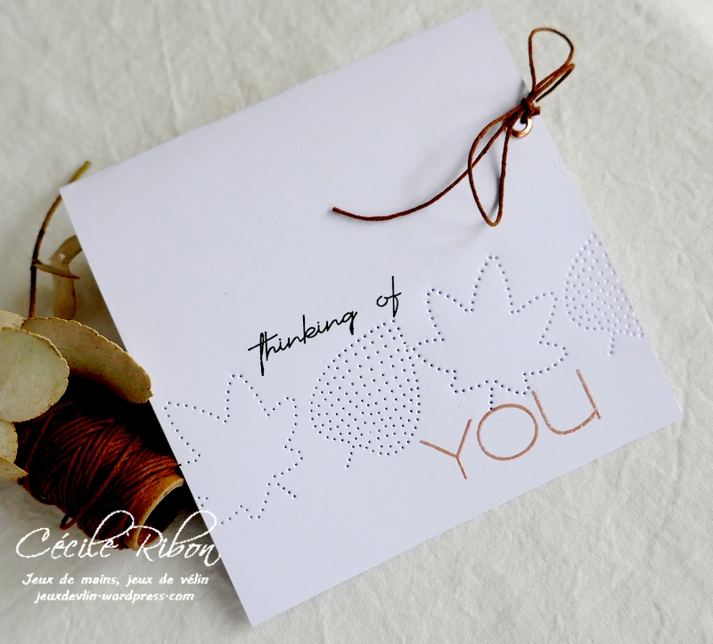 Carte LiM454 - P1270363