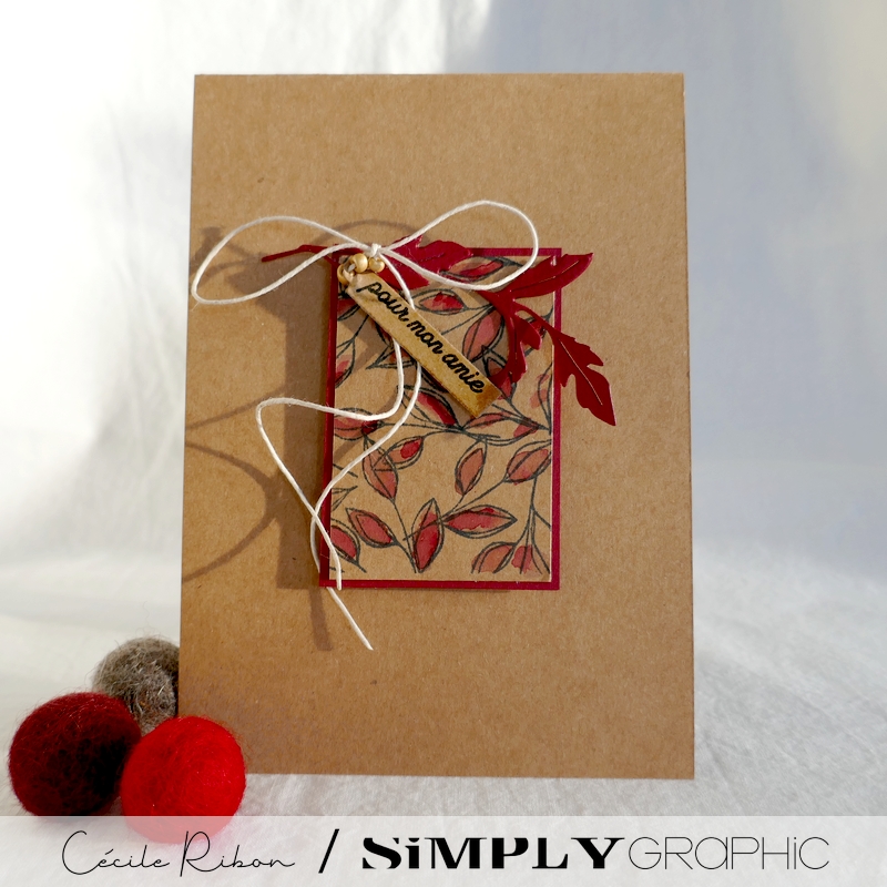 Carte SG06 - P1260745