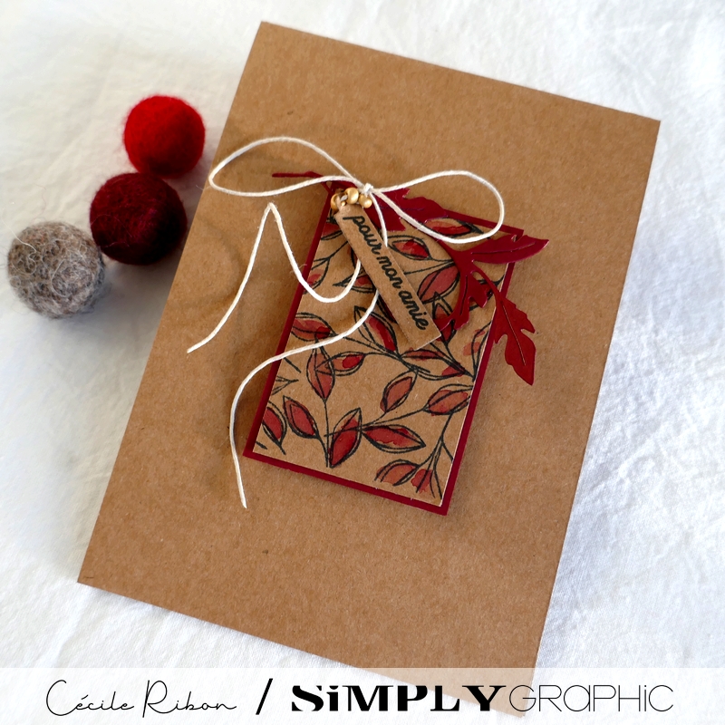 Carte SG06 - P1260760