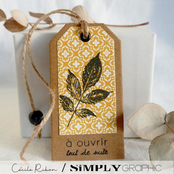 Carte SG06 - P1260769