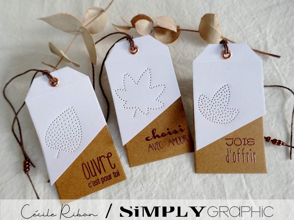 Carte SG06 - P1260787