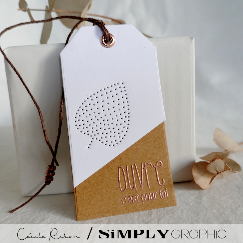 Carte SG06 - P1260795