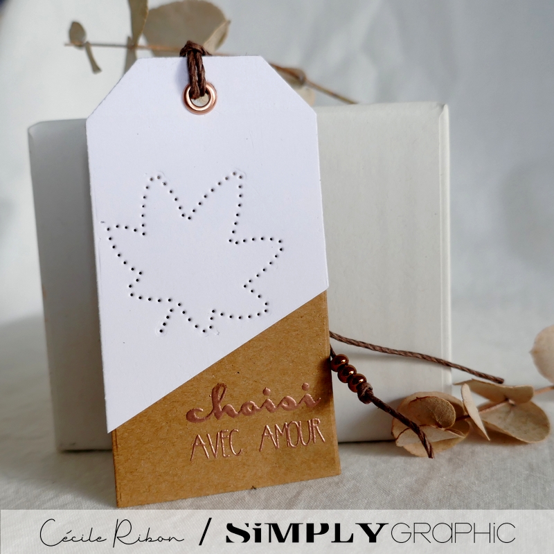 Carte SG06 - P1260801