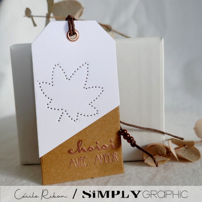 Carte SG06 - P1260801