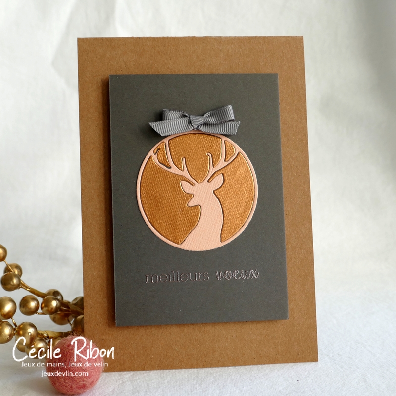 Carte A2C210 - P1280135