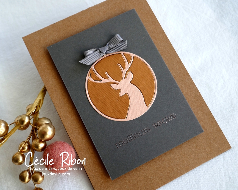 Carte A2C210 - P1280147