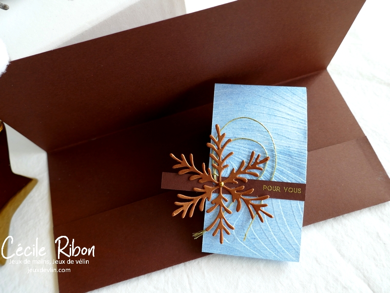 Carte CTD668 - P1280236