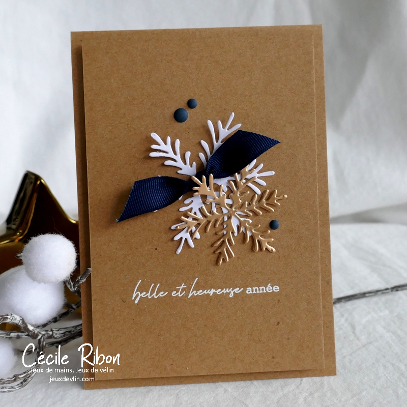 carte CTD669 - P1280378