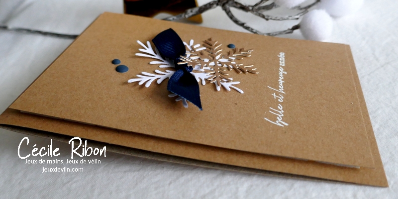 carte CTD669 - P1280386