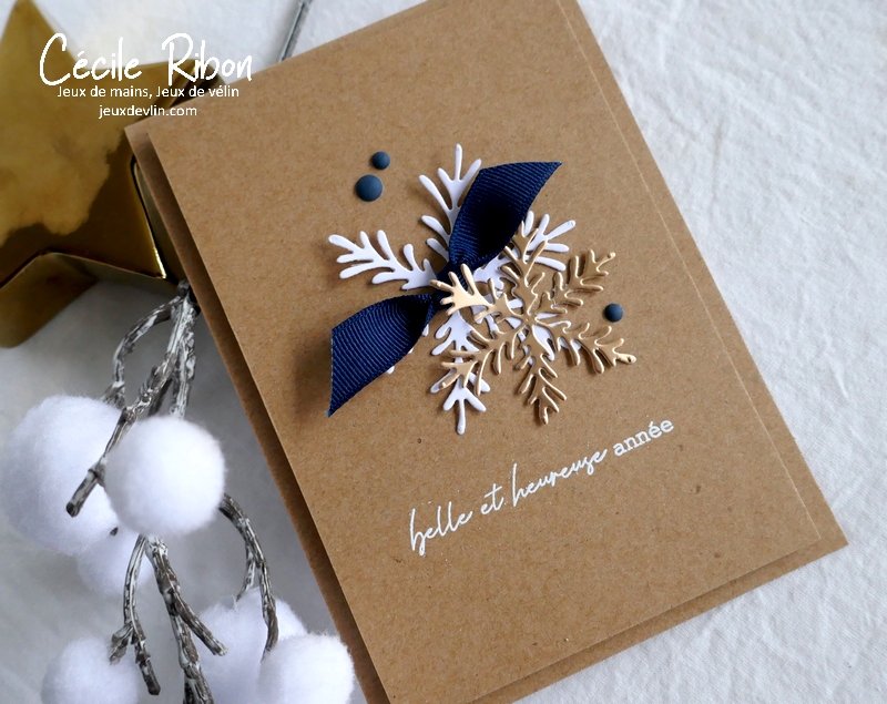 Carte CTD669 - P1280392