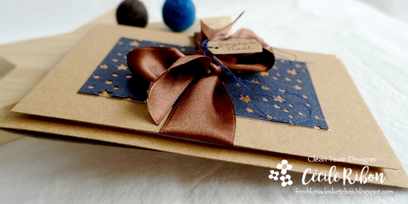 Carte FMS510 - P1270861