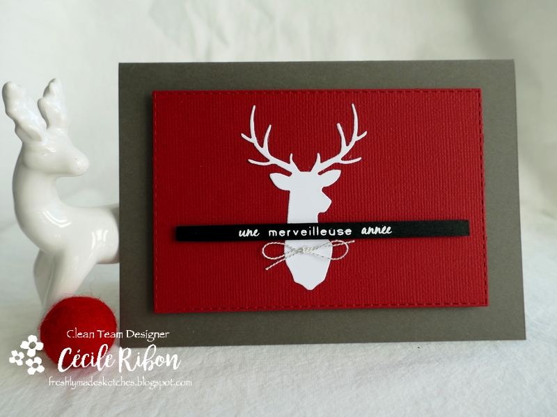 Carte FMS511 - P1280157