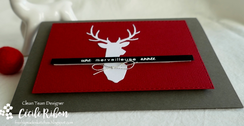 Carte FMS511 - P1280158