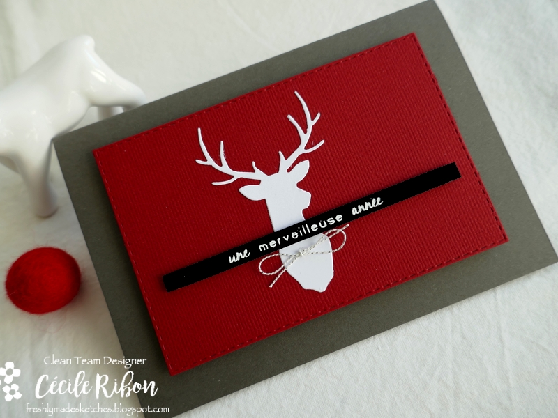 Carte FMS511 - P1280163