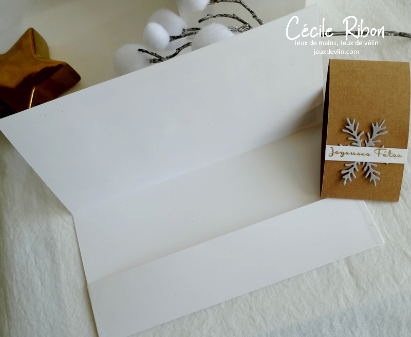 Carte JUGS610 - P1280225