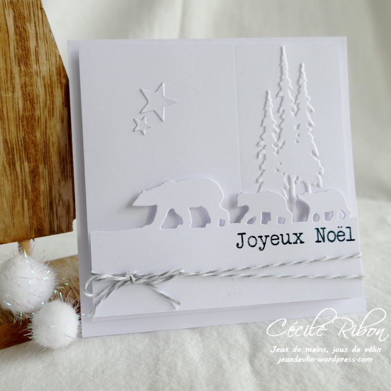 Carte Lim455 - P1270826