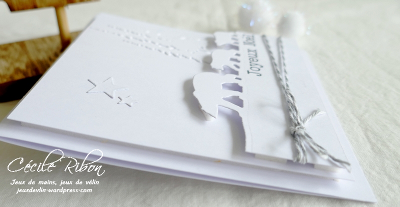 Carte LiM455 - P1270832