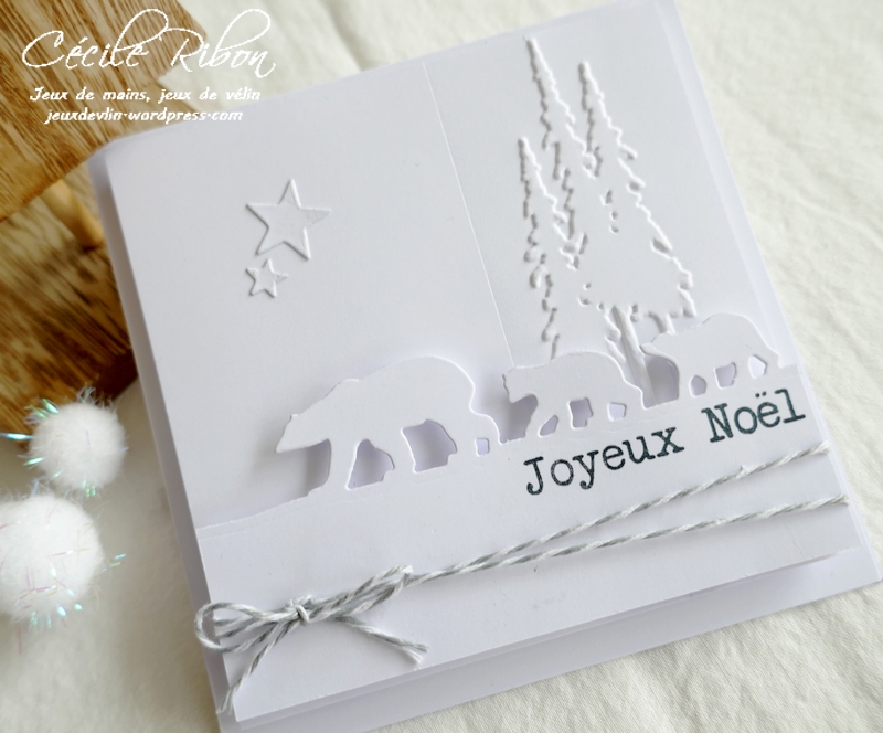 Carte LiM455 - P1270842