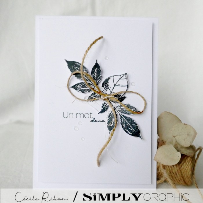 Carte SG07 - P1270936