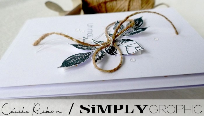 Simply Graphic: Le challenge de Novembre 2021 – Noir & blanc + 1&nbsp;couleur