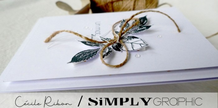 Carte SG07 - P1270938