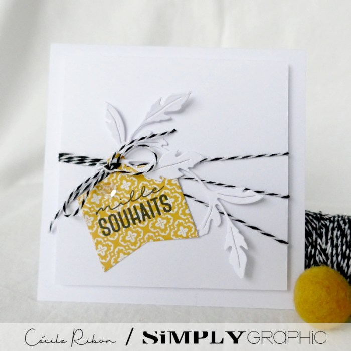 Carte SG07 - P1270948