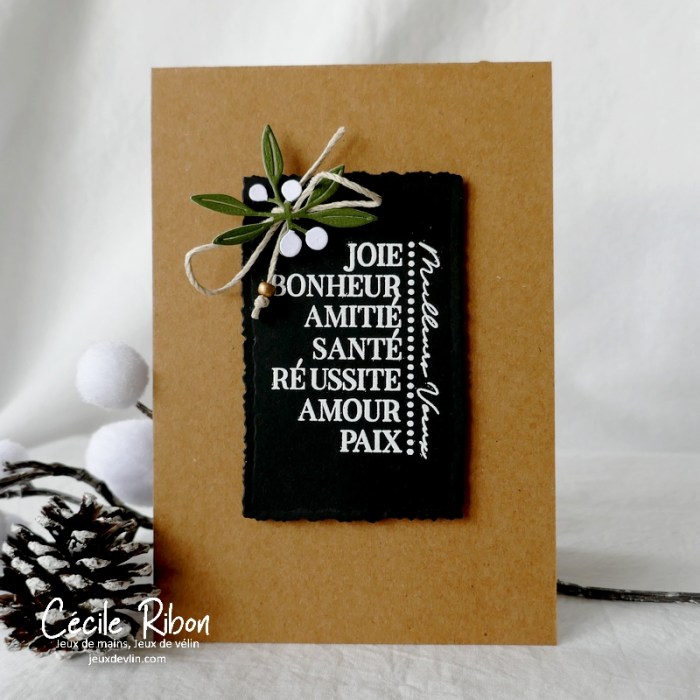 Carte CASology397 - P1280994