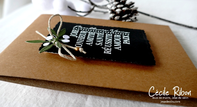 Carte CASology397 - P1280995