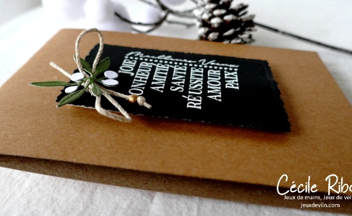 CASology 397 – Type