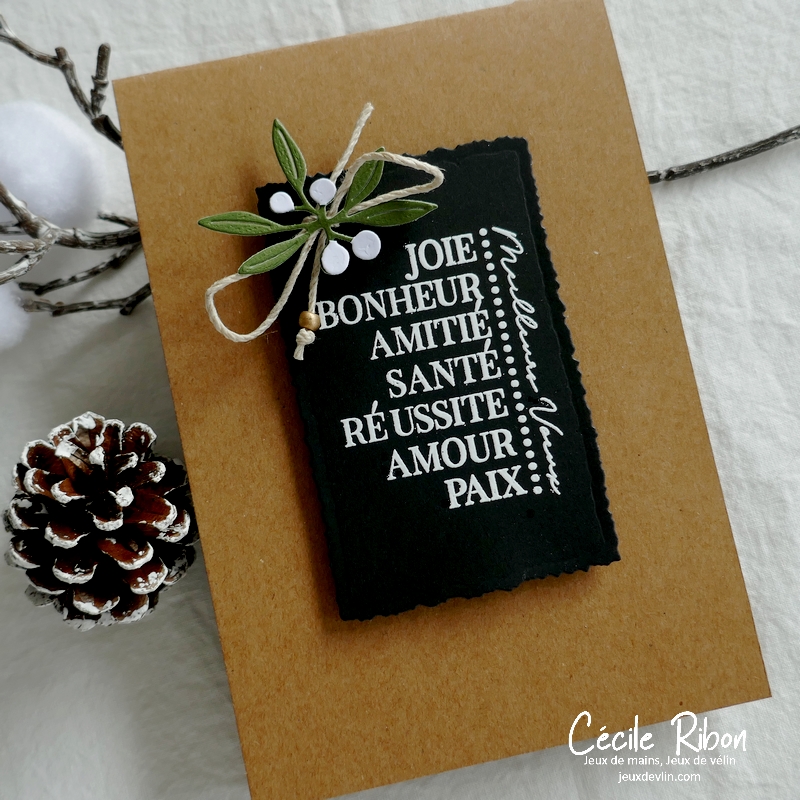 Carte CASology397 - P1290004