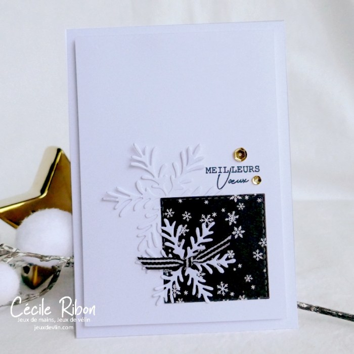 Carte CBBBMarathon13 - P1290249