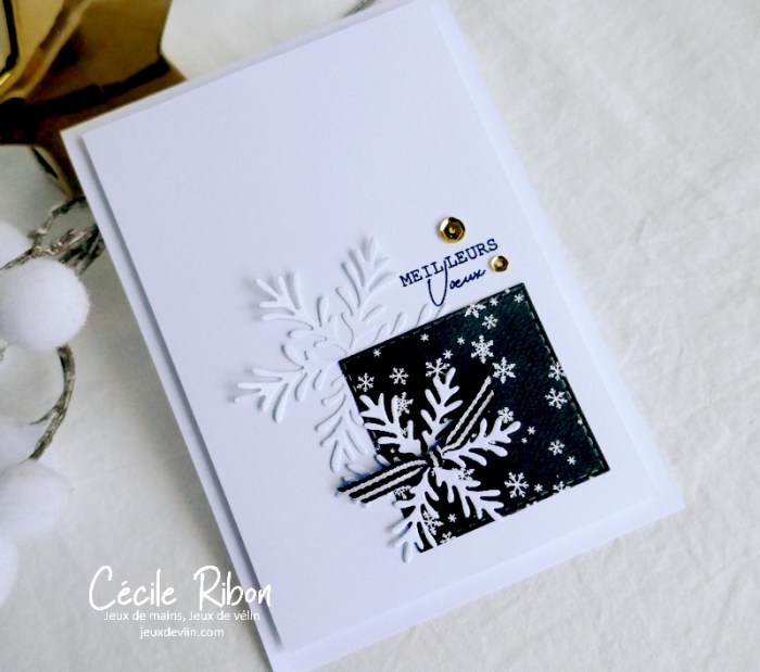 Carte CBBBMarathon13 - P1290262