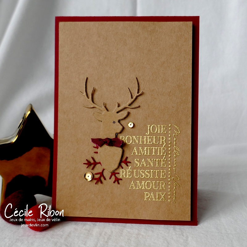 Carte CC&S450 - P1290289