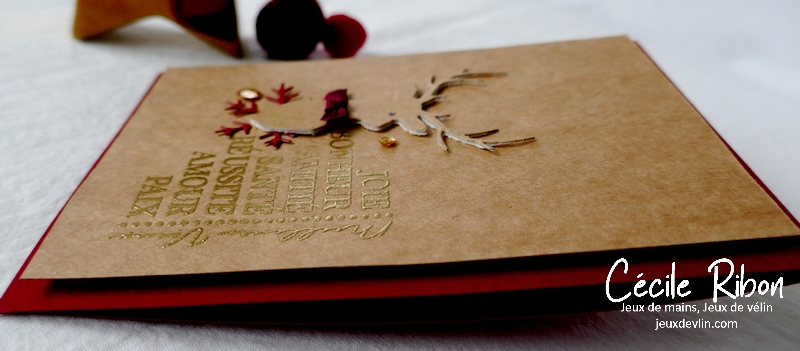 Carte CC&S450 - P1290292