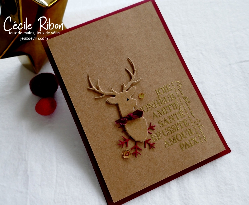 Carte CC&S450 - P1290297