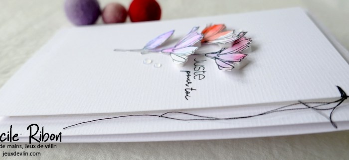 CAS Colours & Sketches #451 –&nbsp;Colours