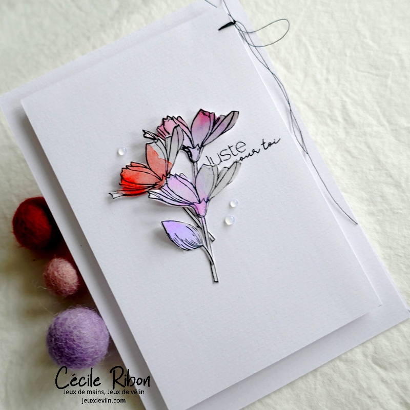 Carte CC&amp;S451 - P1290802