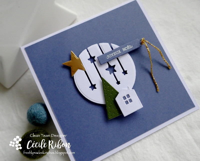 Carte FMS514 - P1280809