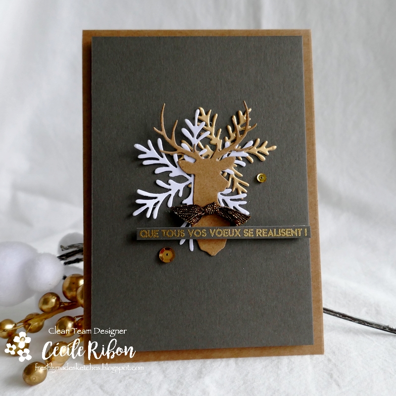 Carte FMS516 - P1290323