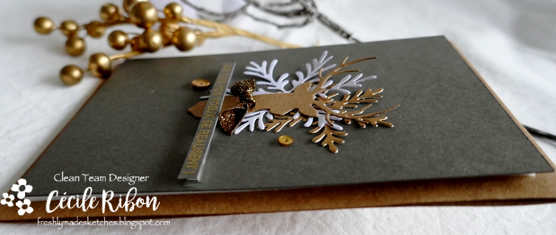 Carte FMS516 - P1290329